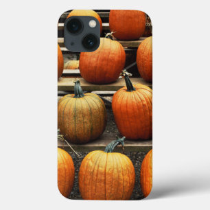 Fall pumpkins iPhone 13 case