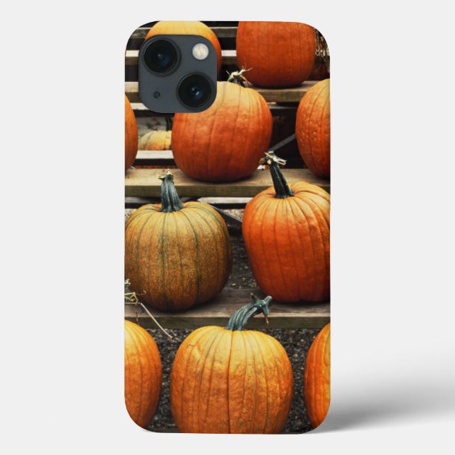Fall pumpkins Case-Mate iPhone case (Back)