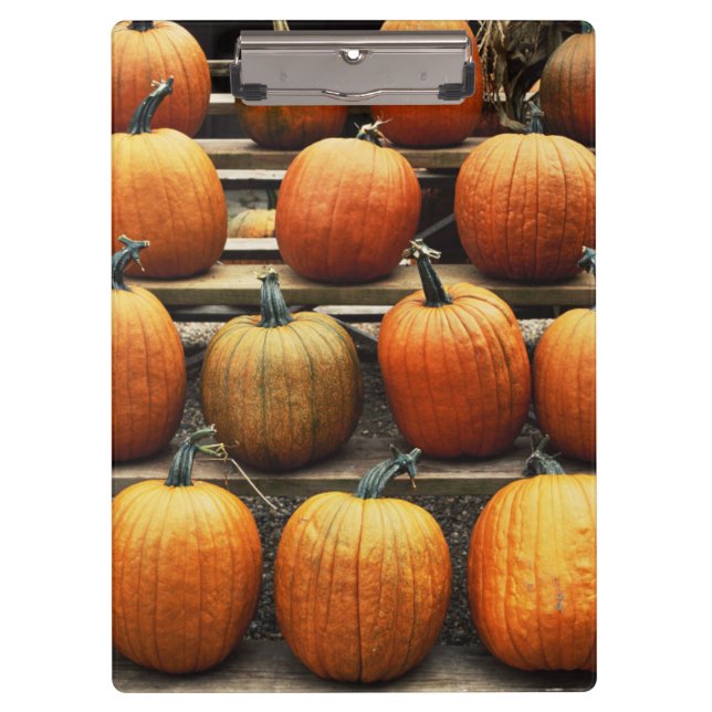 Fall pumpkins clipboard (Front)