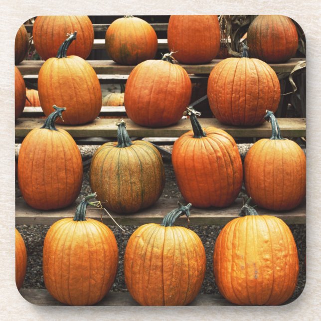 Fall pumpkins coaster (Front)