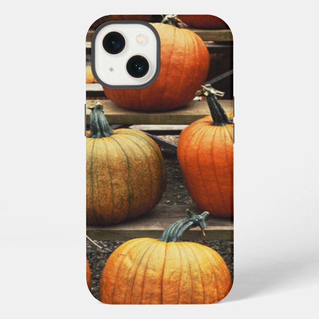 Fall pumpkins iPhone case (Back)