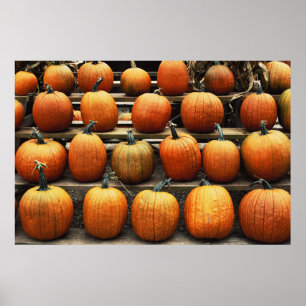 Fall pumpkins poster