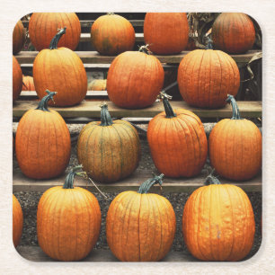 Fall pumpkins square paper coaster