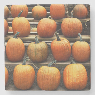 Fall pumpkins stone coaster