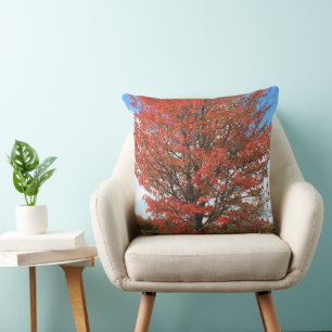 Fall red maple tree against blue sky throw pillow