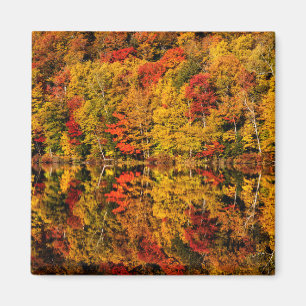 Fall Reflection on Russell Pond   New Hampshire Magnet