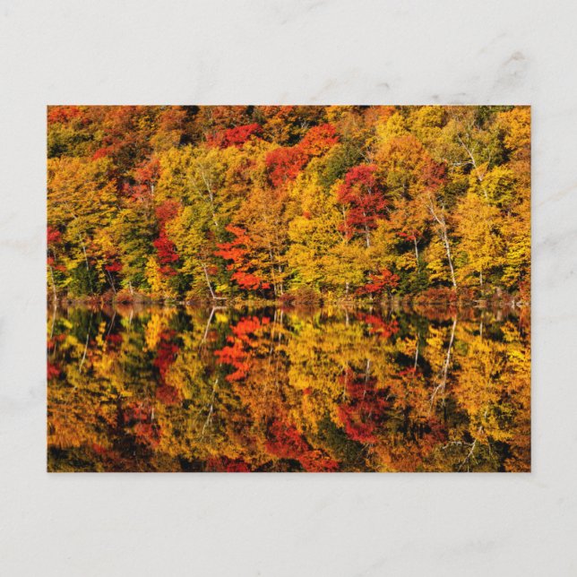 Fall Reflection on Russell Pond | New Hampshire Postcard (Front)