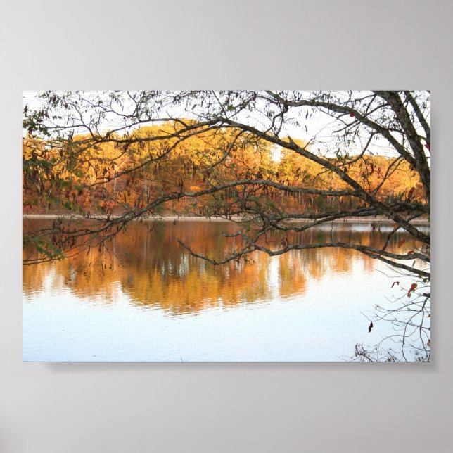 Fall Reflections Poster (Front)