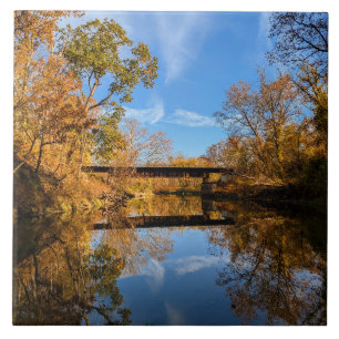 Fall Reflections Tile