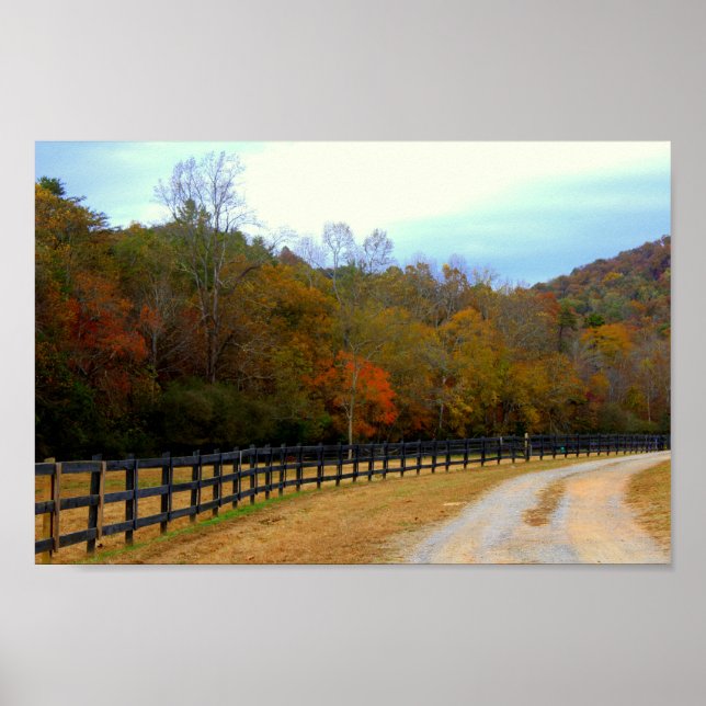 Fall Road Poster (Front)