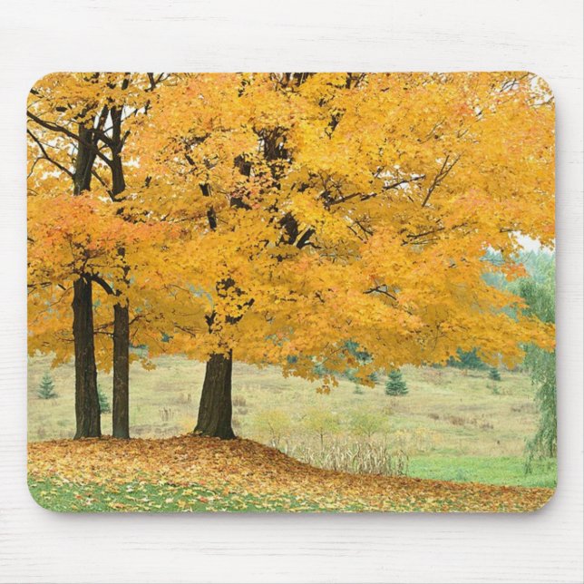 Fall Scene Mouse Pad (Front)