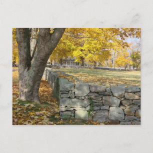 Fall scene with tree and stone wall postcard