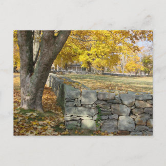 Fall scene with tree and stone wall postcard