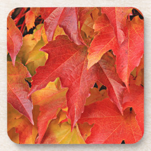 Fall Season Coaster