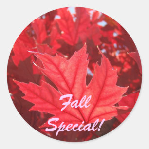 Fall Special! stickers Red Autumn Leaves Leaf