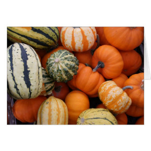 Fall Squash Harvest