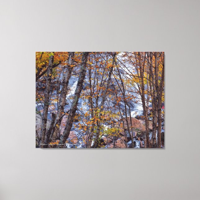 Fall Stream Canvas Print (Front)