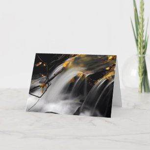 FALL STREAM: Spring of Learning Card