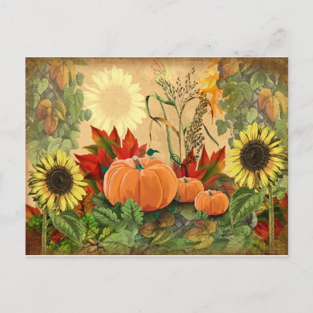 Fall Sunflower Pumpkin Autumn Postcard (Front)