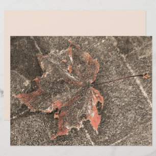 Fall Themed Maple Leaf Vintage Sepia Autumn