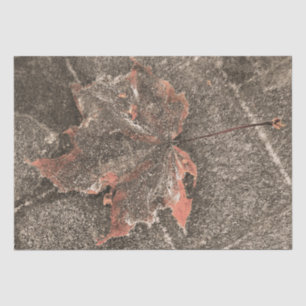 Fall Themed Maple Leaf Vintage Sepia Autumn Tissue Paper