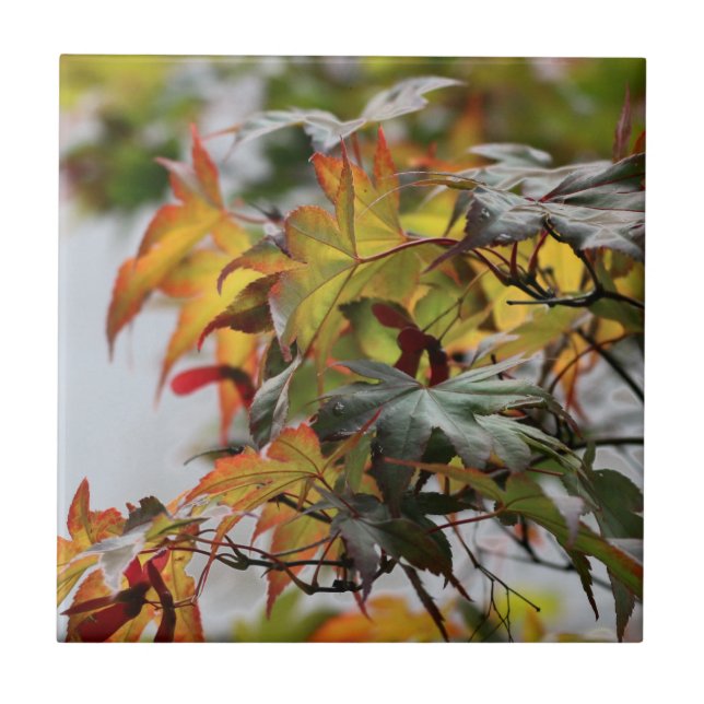 Fall Tile (Front)