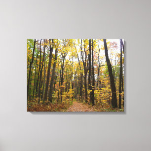 Fall Trail and Golden Leaves at Laurel Hill Park Canvas Print