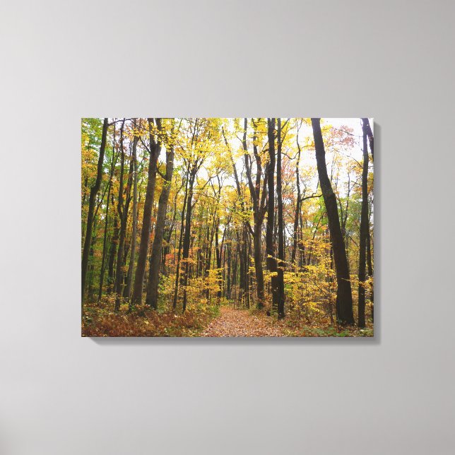 Fall Trail and Golden Leaves at Laurel Hill Park Canvas Print (Front)