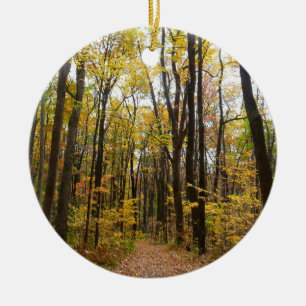 Fall Trail and Golden Leaves at Laurel Hill Park Ceramic Ornament