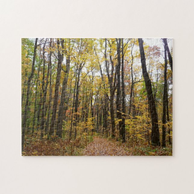 Fall Trail and Golden Leaves at Laurel Hill Park Jigsaw Puzzle (Horizontal)