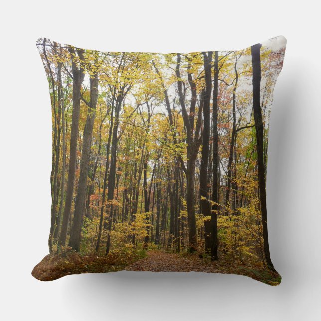 Fall Trail and Golden Leaves at Laurel Hill Park Throw Pillow (Front)