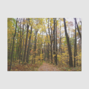 Fall Trail and Golden Leaves at Laurel Hill Park Tissue Paper