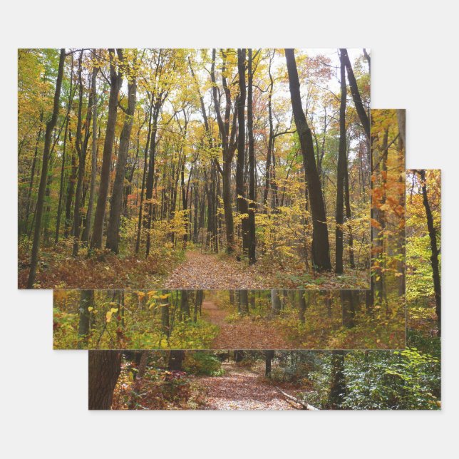 Fall Trail and Golden Leaves at Laurel Hill Park Wrapping Paper Sheet (Set)