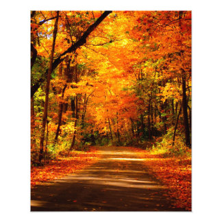 fall trail photo print
