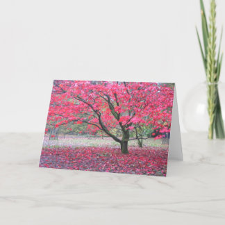 Fall Tree Card