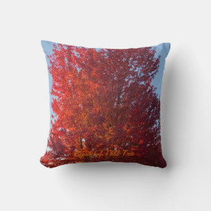 Fall Tree Picture Throw Pillow