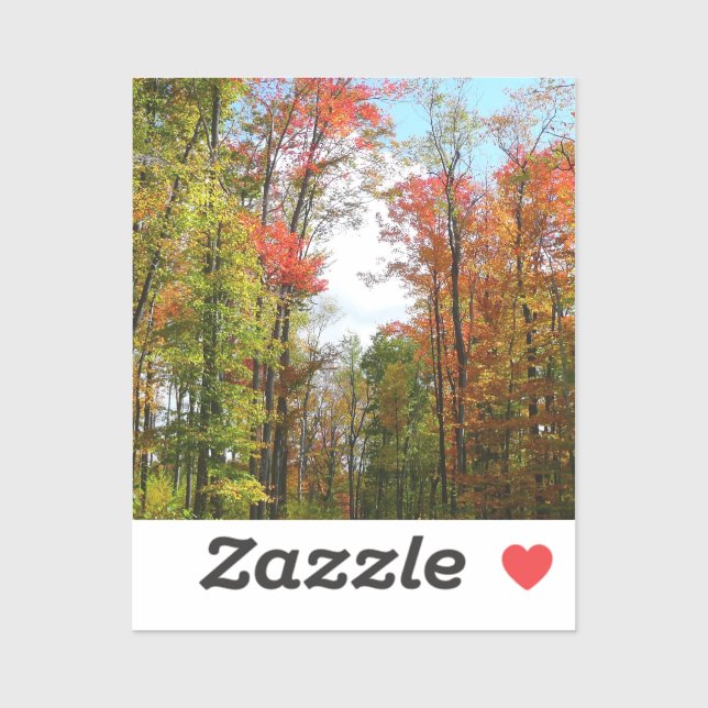 Fall Trees and Blue Sky Autumn Nature Photography (Sheet)