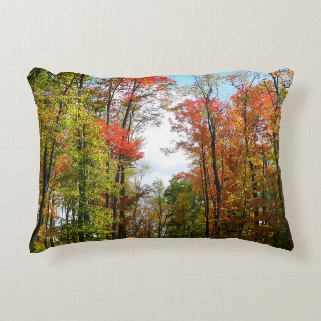 Fall Trees and Blue Sky Autumn Nature Photography Accent Pillow (Front)