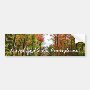 Fall Trees and Blue Sky Autumn Nature Photography Bumper Sticker