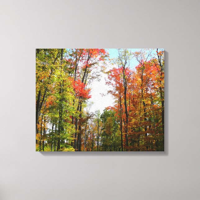 Fall Trees and Blue Sky Autumn Nature Photography Canvas Print (Front)