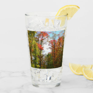 Fall Trees and Blue Sky Autumn Nature Photography Glass