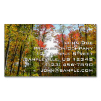 Fall Trees and Blue Sky Autumn Nature Photography