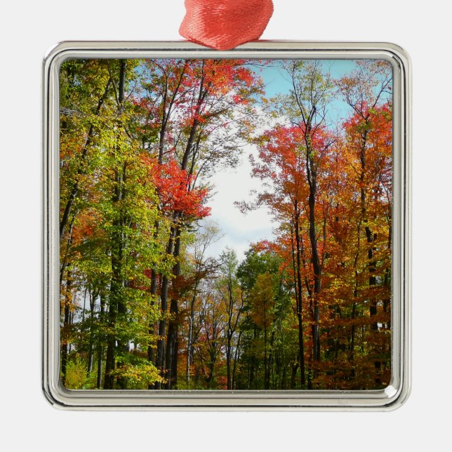 Fall Trees and Blue Sky Autumn Nature Photography Metal Ornament (Front)