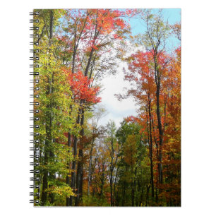 Fall Trees and Blue Sky Autumn Nature Photography Notebook