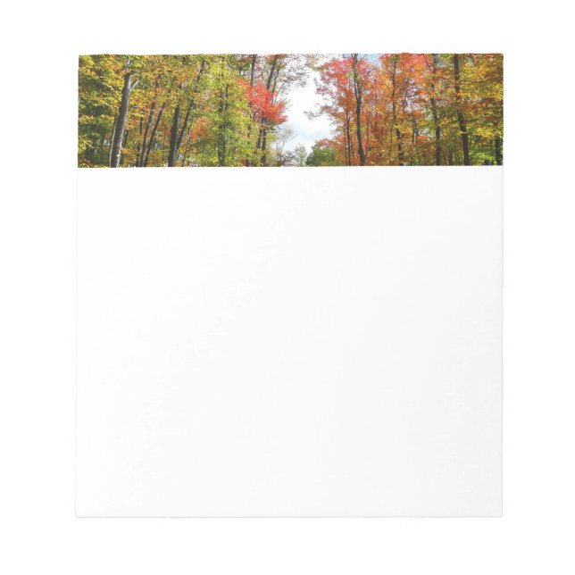 Fall Trees and Blue Sky Autumn Nature Photography Notepad (Front)