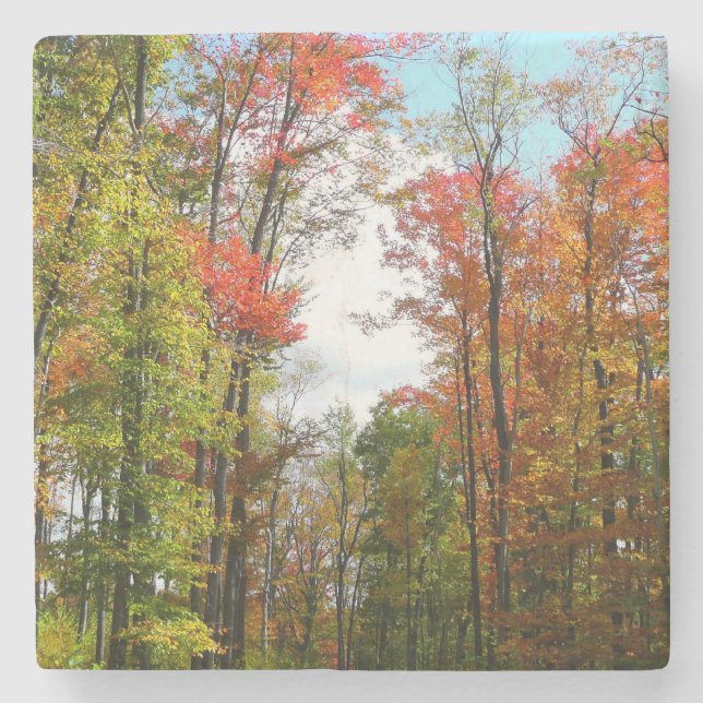 Fall Trees and Blue Sky Autumn Nature Photography Stone Coaster (Front)