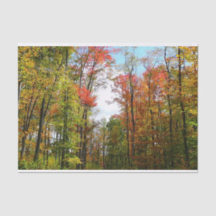 Fall Trees and Blue Sky Autumn Nature Photography Tissue Paper