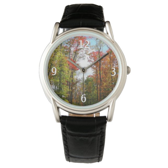Fall Trees and Blue Sky Autumn Nature Photography Watch (Front)
