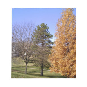 Fall Trees Notepad