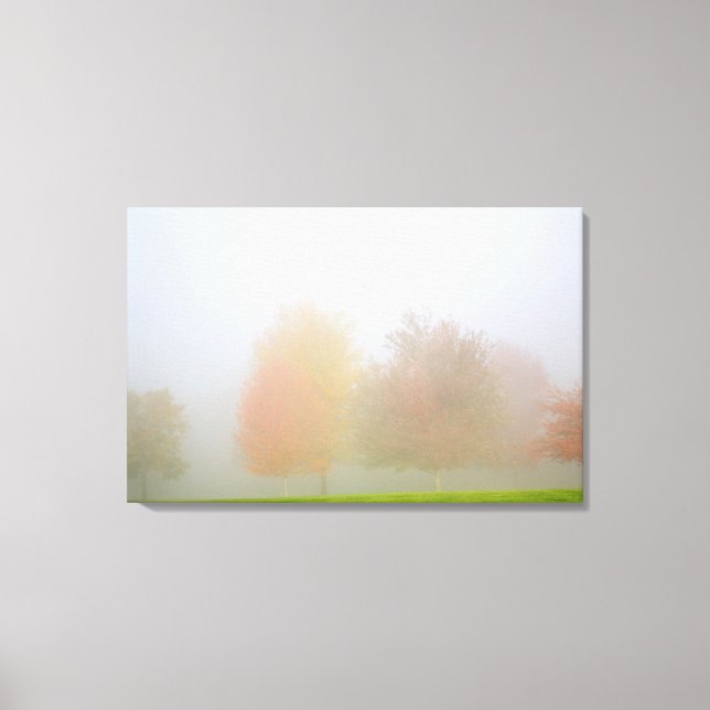 Fall trees shrouded in mist canvas print (Front)